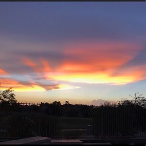 Meet your Posher, Alaina